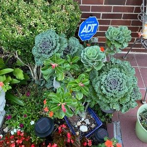 Meet your Posher, Eunice